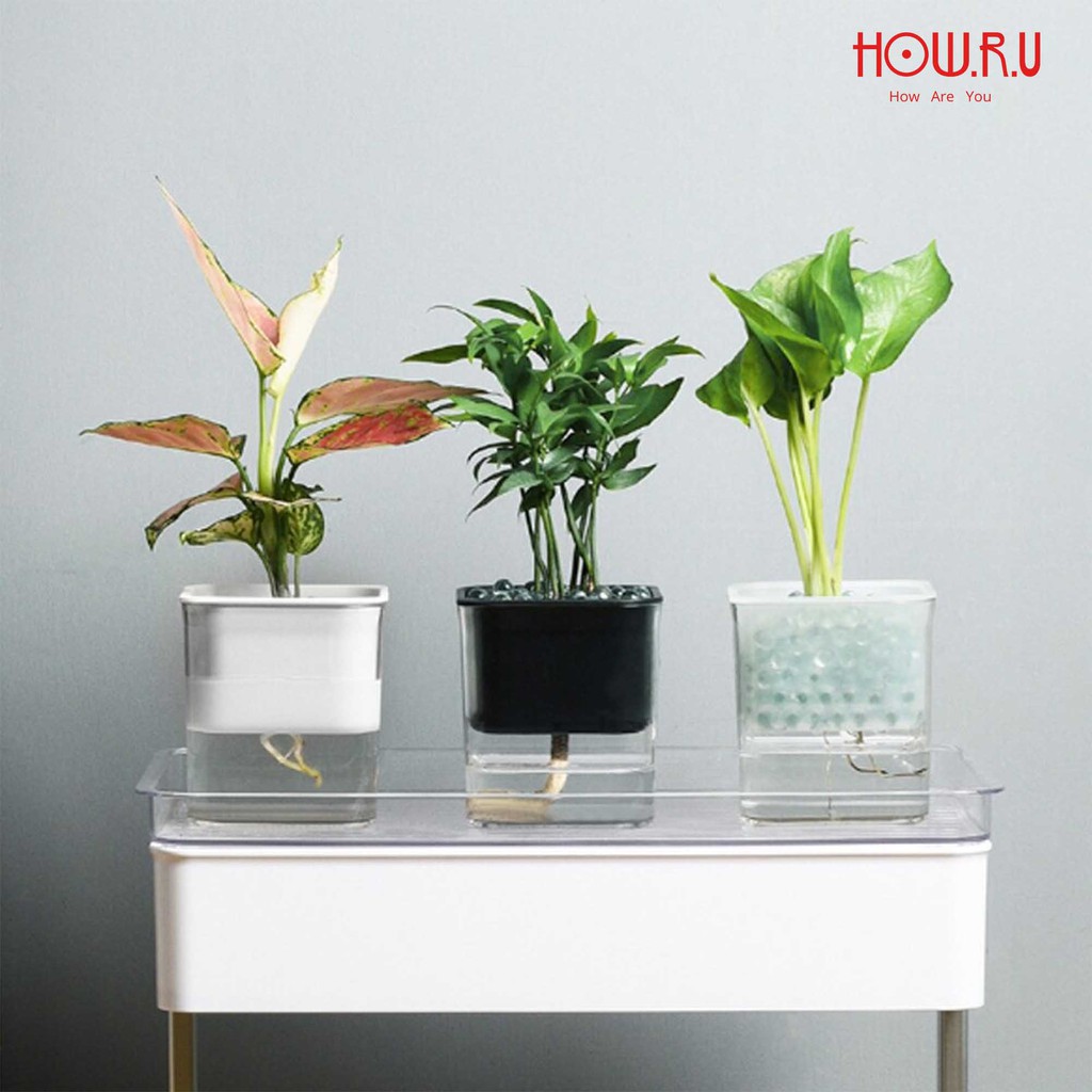 HOW.R.U | Pot Tanaman Pintar Self Watering Kotak Hidroponik Outdoor Indoor