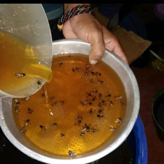 

Madu odeng suku baduy 100% original tanpa bahan campuran