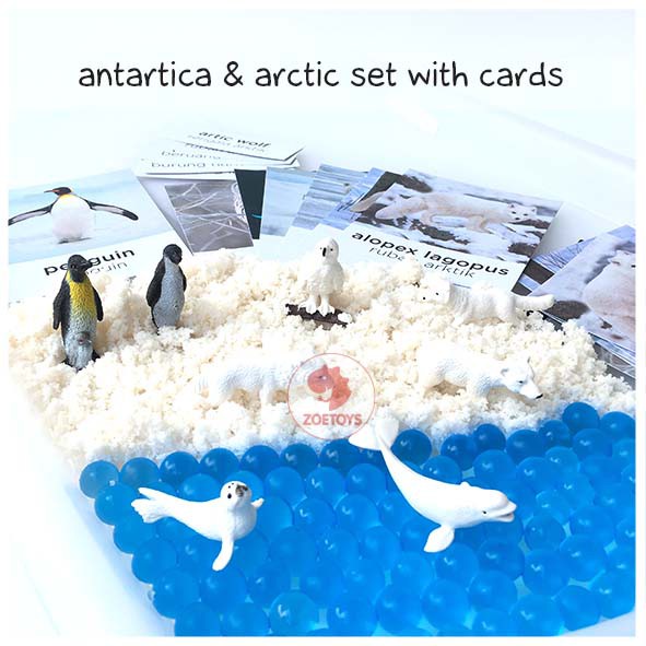 Zoetoys Sensory Play Small Arctic Antartica &amp; Arctic Set with Flashcards | Mainan Edukasi Anak Figurine Box Snow Salju | Cari Bingkisan Hampers Kado