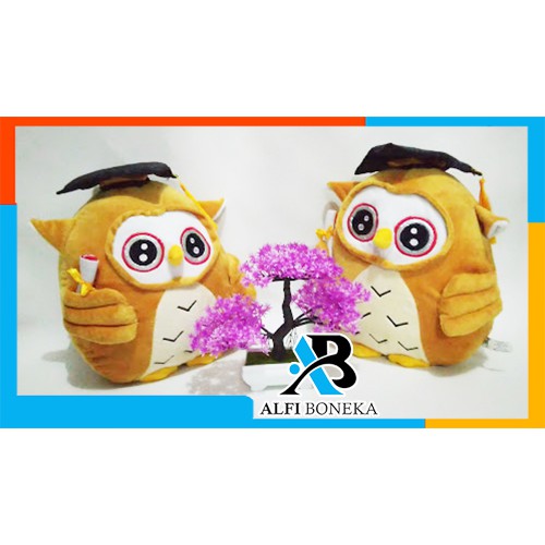 [ BISA BAYAR DI TEMPAT ] Boneka Owl Sarjana - Boneka Owl Wisuda Murah Berkualitas