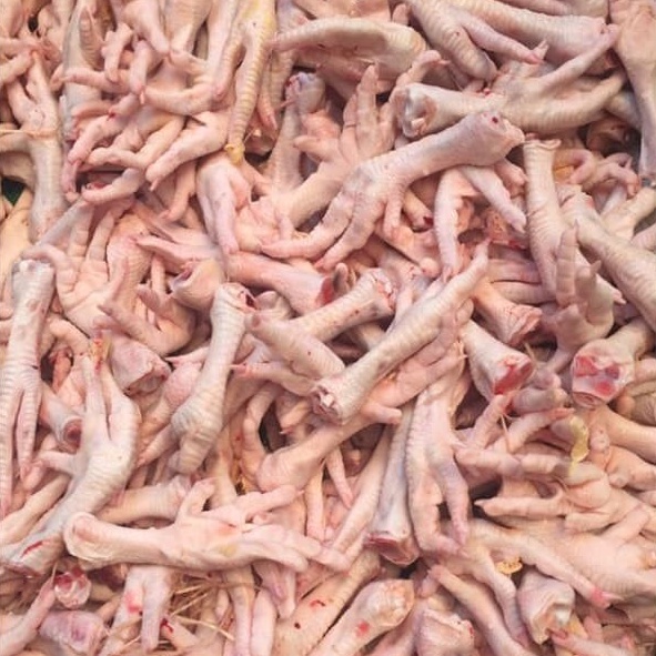 

CEKER AYAM FRESH 250 GRAM