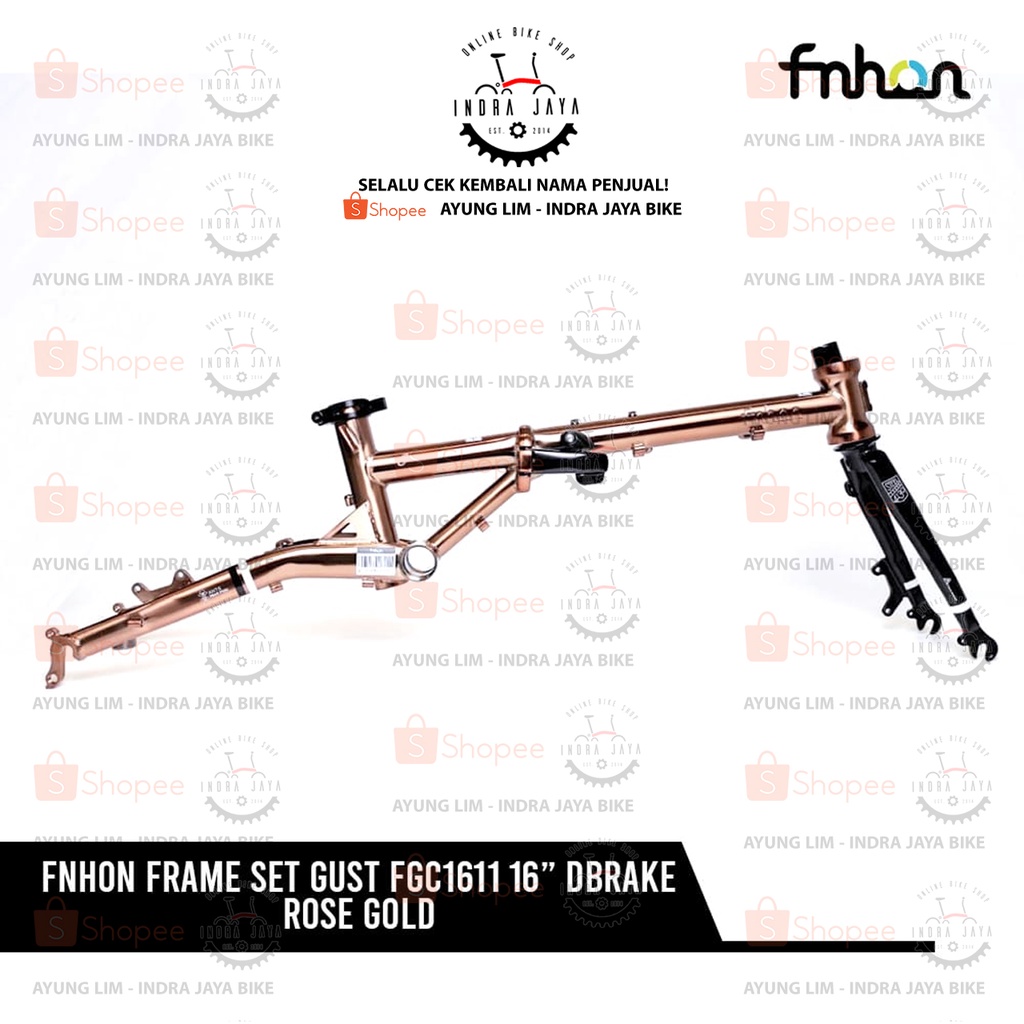 FRAME SET FNHON GUST DISC BRAKE - 10