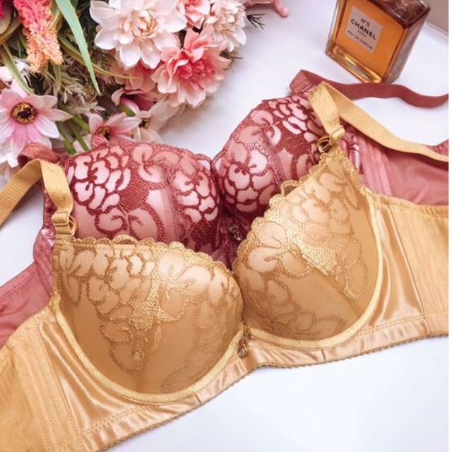 BH (K-A18) Elisa Pakaian dalam wanita dengan motif elegan dan busa push up berkawat