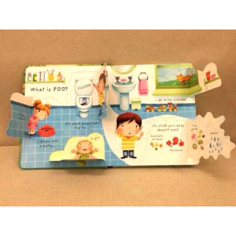 Usborne lift the flap what is poo - buku import anak