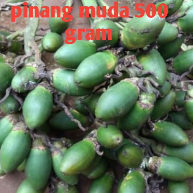 

pinang muda/ Jambe muda berkualitas termurah