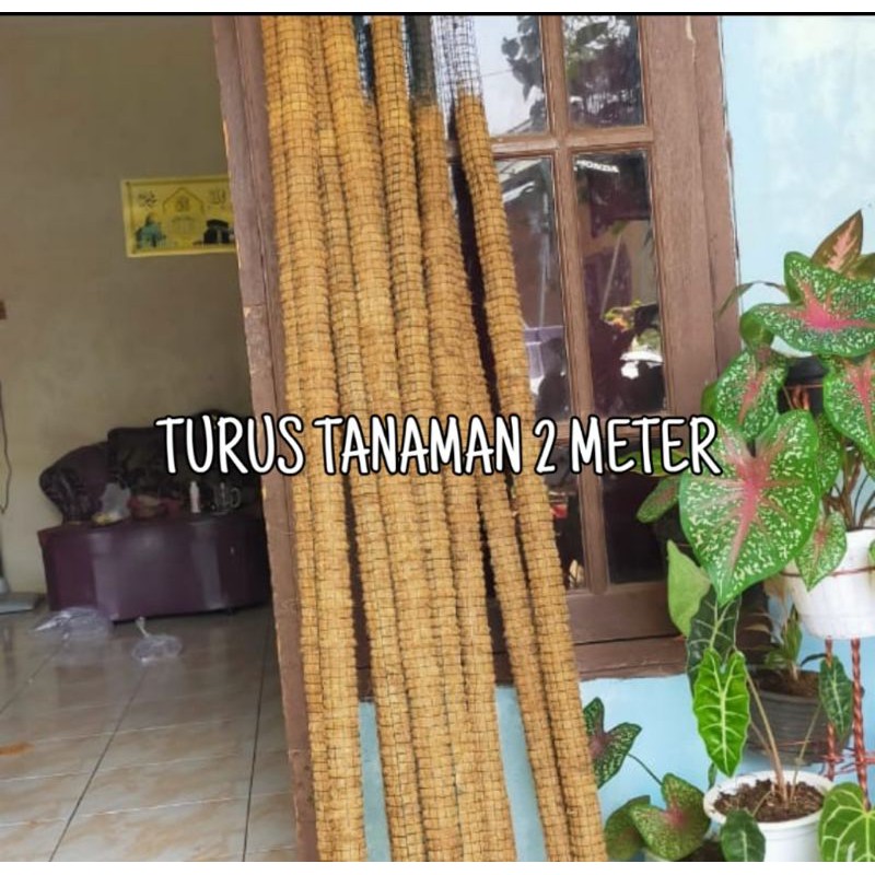 Turus Tanaman Penyangga panjang 2 meter / tiang penyangga tanaman rambat