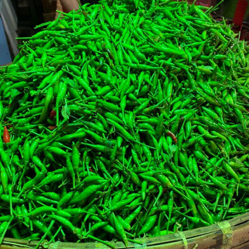 

CABE RAWIT HIJAU 1KG