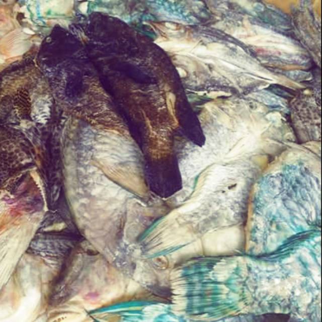 

Ikan asin pulau