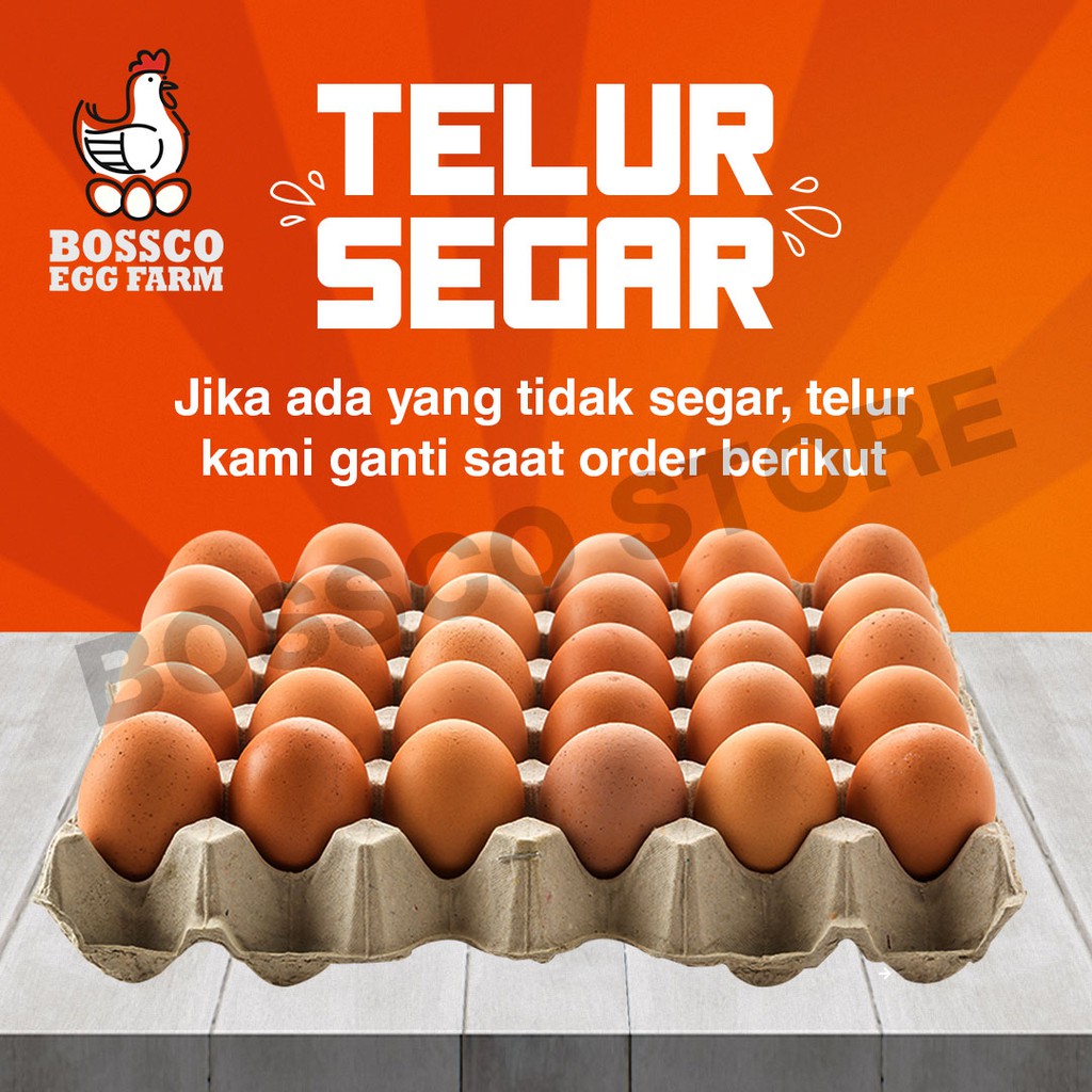 

Telur Ayam Negri Langsung dari TERNAK AYAM Grade A segar fresh / telor ayam negri telur ayam 1 kg telur ayam per kg telur segar telur seger telur fresh telur ayam premium telor ayam premium telor organik telor omega telur organik telur omega berkualitas