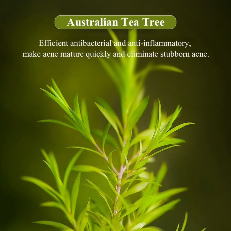 BREYLEE ACNE TEA TREE GEL 15GR