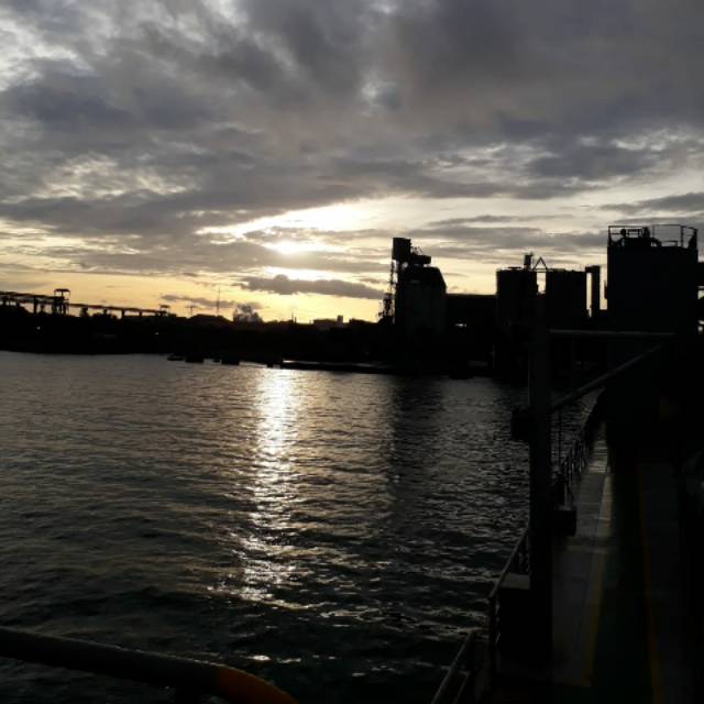 trinoviantiligarwati