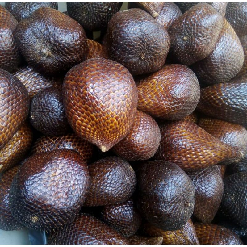 

BUAH SALAK SEGAR 1KG / SALAK SEGAR /DALAK PONDOH