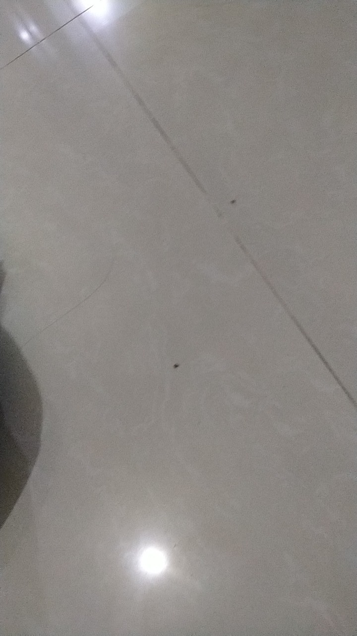 Lampu Model Baling Kipas Bohlam Led 50w