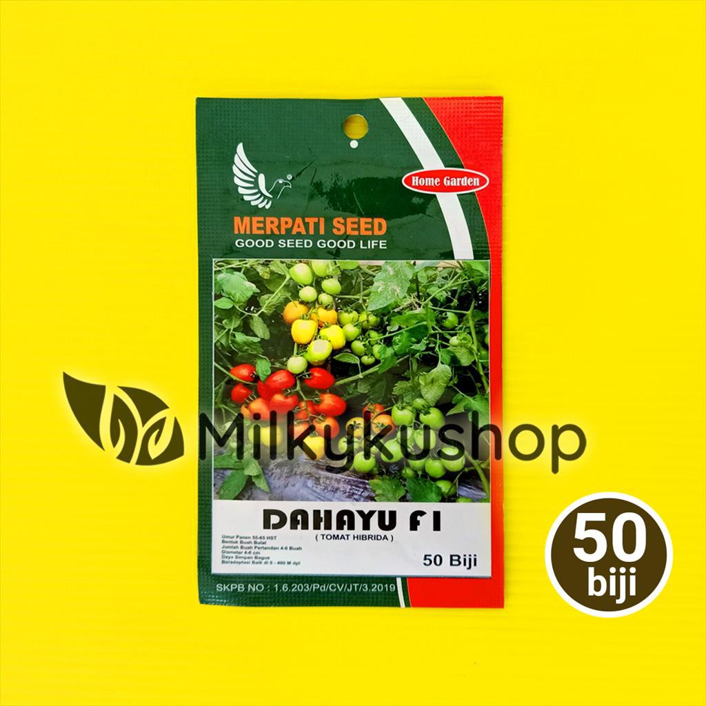 BENIH MERPATI SEED DAHAYU F1 TOMAT 50 BIJI SACHET KEMASAN PABRIK