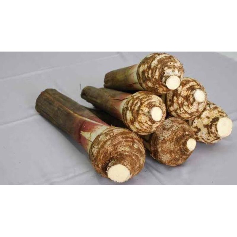 

Buah Keladi / Ubi Talas / Per Buah
