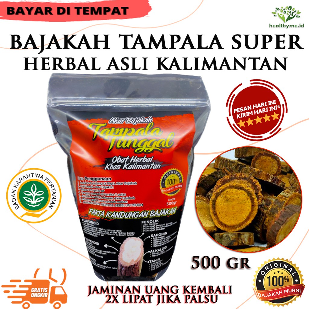 

Bajakah Tampala / Kayu Akar Bajakah Tunggal Asli Kalimantan - 500GR