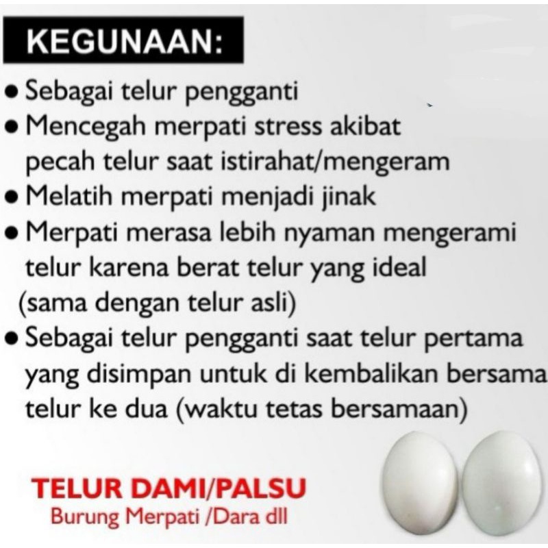 telur palsu perangsang ayam merpati agar mau bertelur