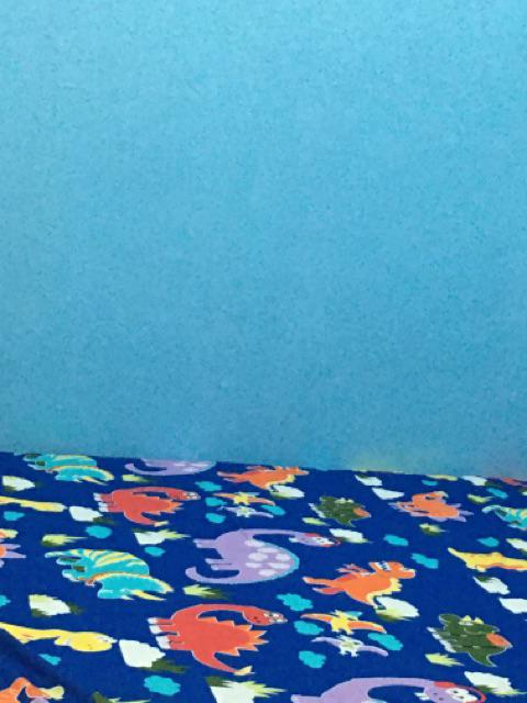 Sprei Motif Dino/jurasik Dan Anak-anak Lain Nya, Katun Lokal Esra Uk Single Queen & King