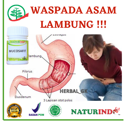 Obat Asam lambung naik gerd mual Perut Mlilit Ulu Hati Sakit Perut Kembung Herbal Ampuh Terlaris-7