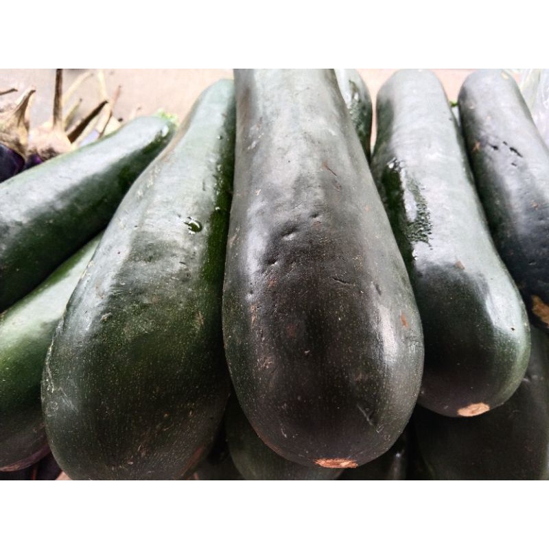 

zukini 1kg