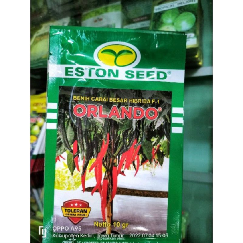 Cabe Besar Orlando F1 10gr Tahan Virus Original Pabrik Eston Seed