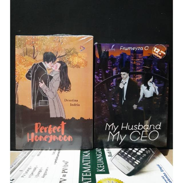PERFECT HONEYMOON & MY HUSBAND MY CEO