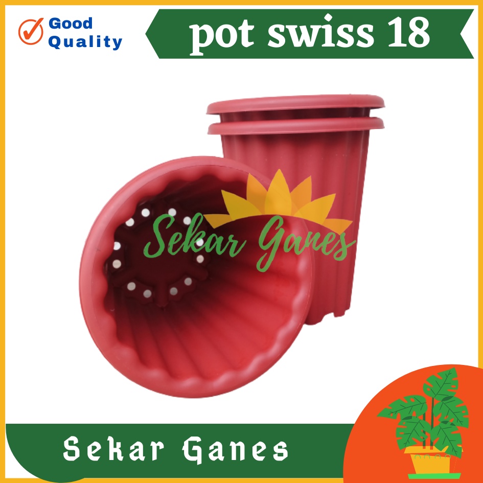 Sekarganes Pot Swiss 18 Putih  Pot Yogap 18 Putih Coklat Merah Bata Bening Transparan Pot Yogap 17 18 19 Pot Yogap Murah Pot Bunga Tinggi Pirus Tegak Bagus Tebal