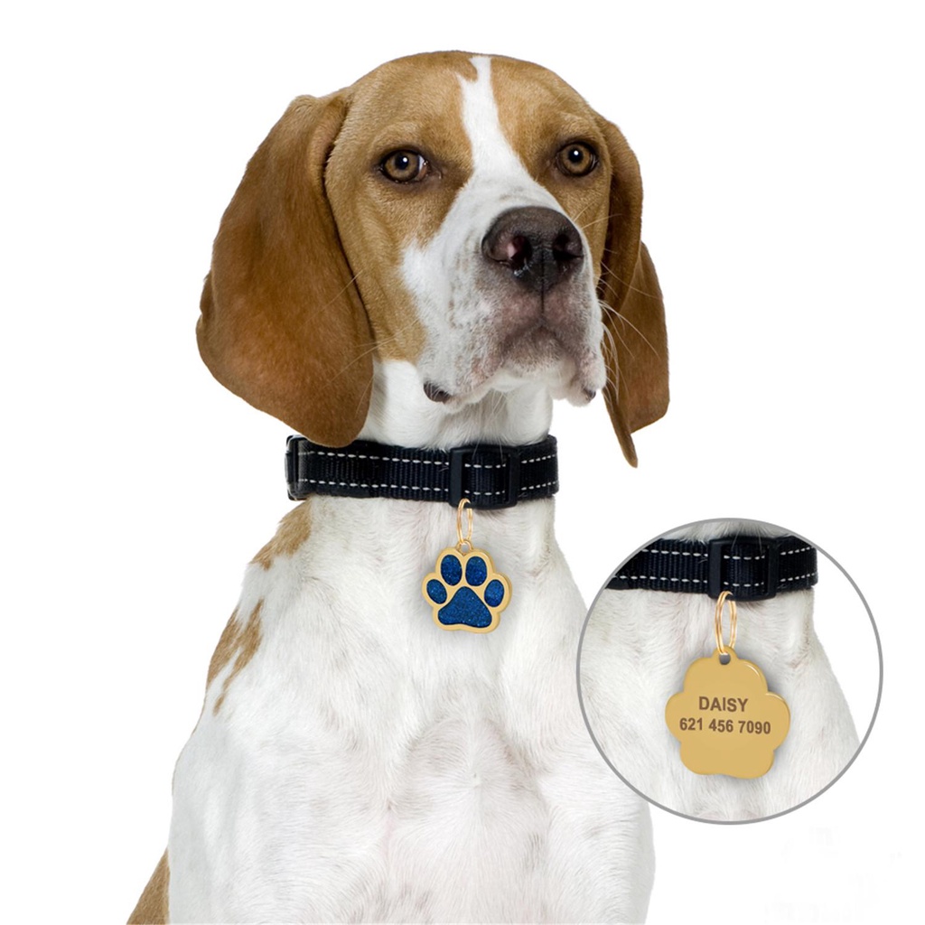 Solighter Pet ID Tag Jejak Kaki Baru Anti Hilang Dogs Name Tag