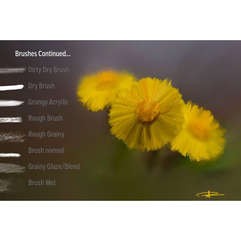 Procreate Brush - 15 Photo Painting Brushes