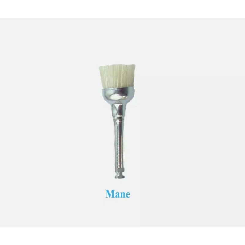 1 pcs Brush Polishing Prophy