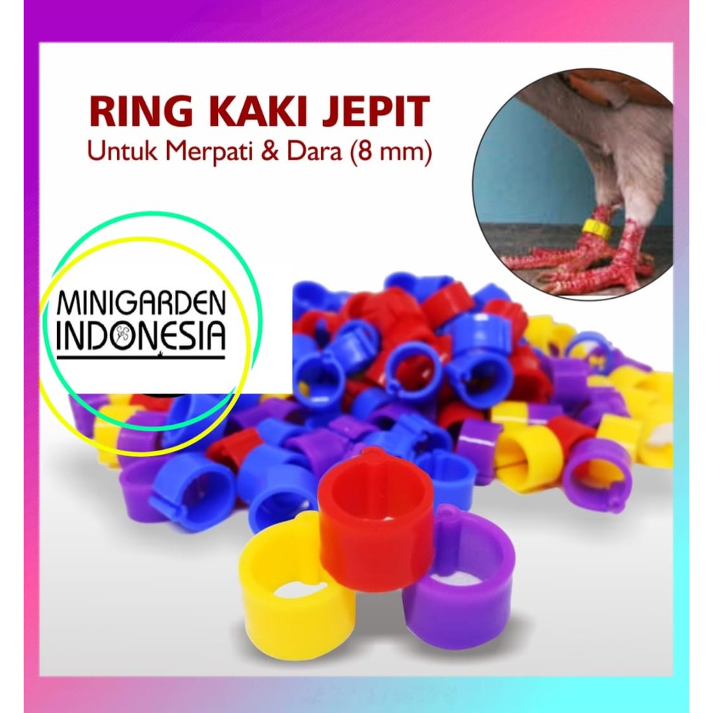 RING JEPIT 8MM ring cincin ring clip gelang kaki burung merpati dara pengaman pengikat ikan cincin burung