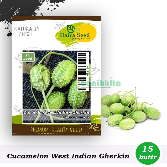 Benih-Bibit Cucamelon West Indian Gherkin (Haira Seed)