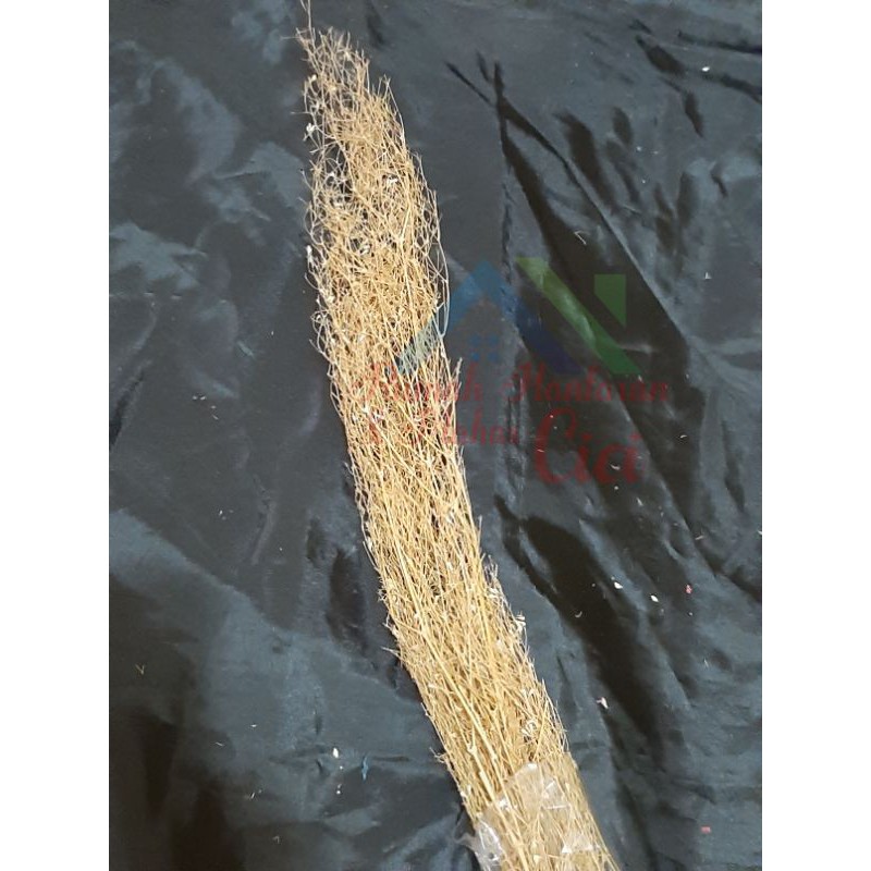 perikat ranting rustic/ranting rastik/ranting kering/dried ranting