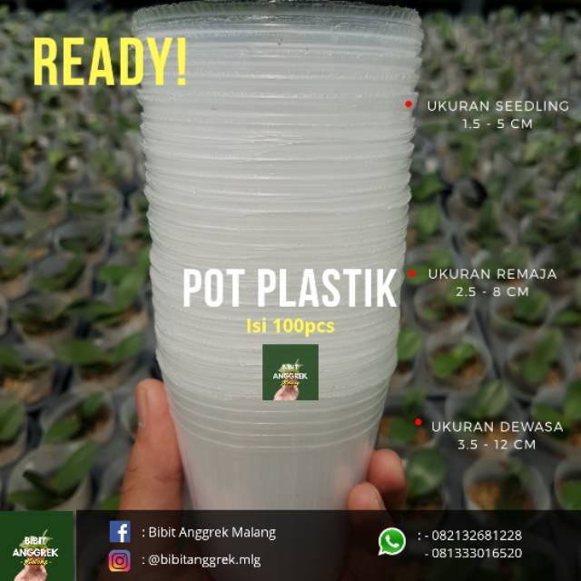 Pot Anggrek Seedling - Flexible Cup 100 Pcs 1.5 Inc  5 Cm