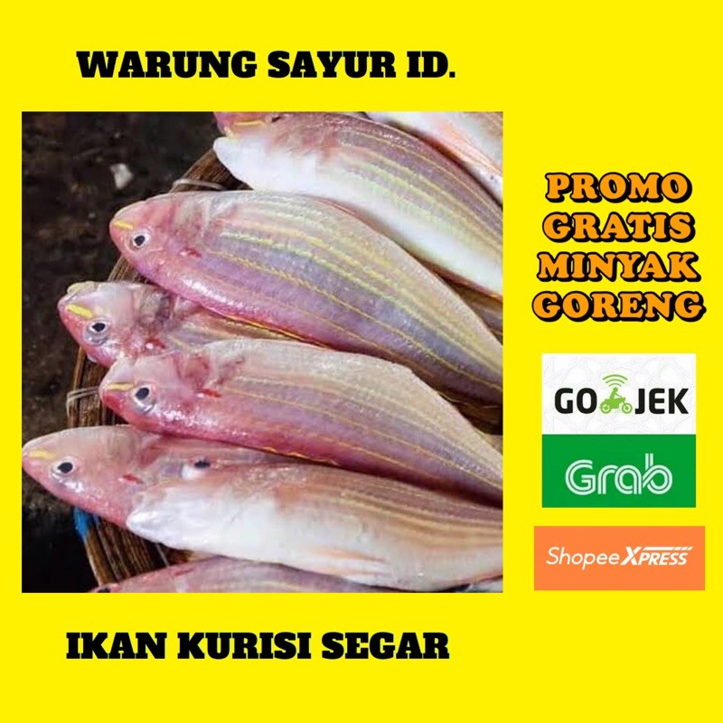 

IKAN SEGER KURISI 500 GRAM