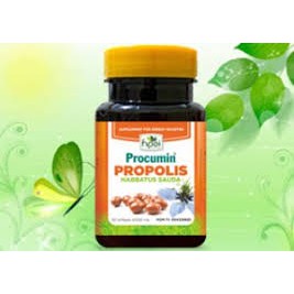 PROCUMIN PROPOLIS HABBATUSSAUDAH - ekstrak habbatussaudah dengan propolis