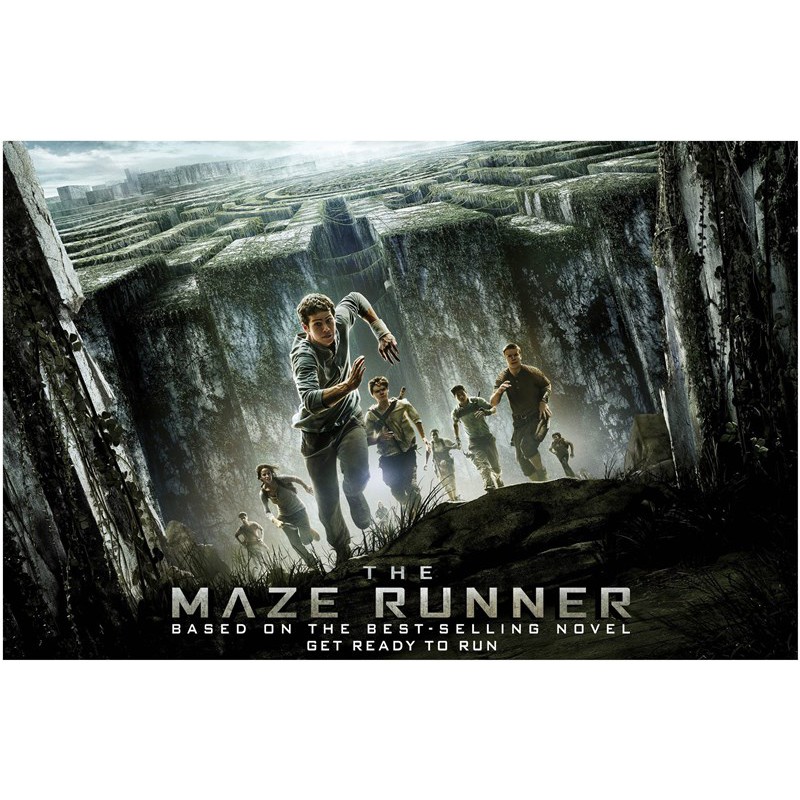 Poster 17030614 The Maze Runner movie