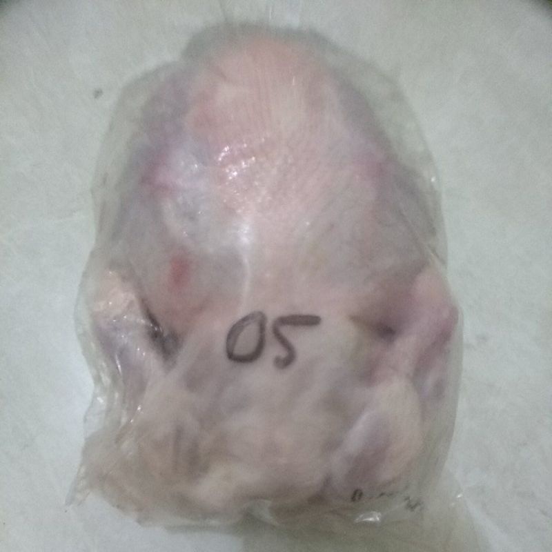 

Ayam karkas
