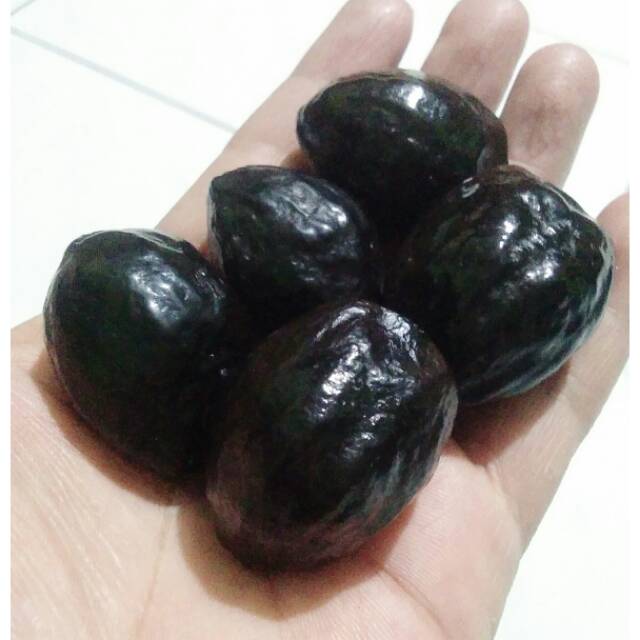 Muncang adu Mantili Ori Matang