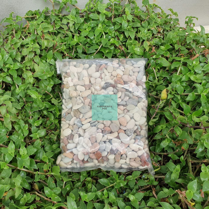 Tanaman hias hidup batu hias tanaman aquarium aquascape batu pancawarna 1 kg -