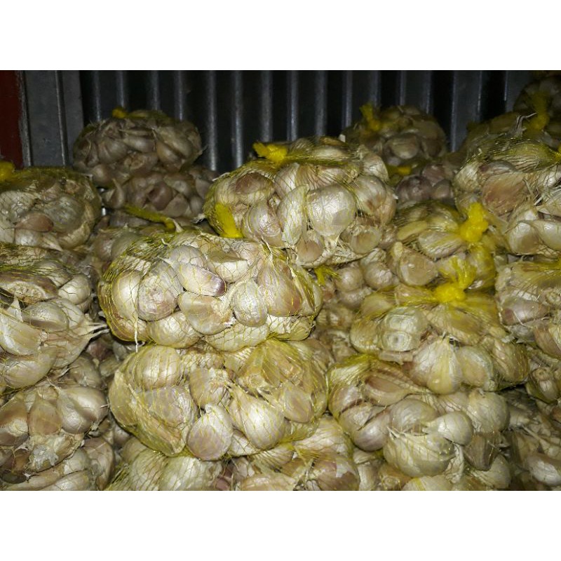 

Bawang putih Cuting