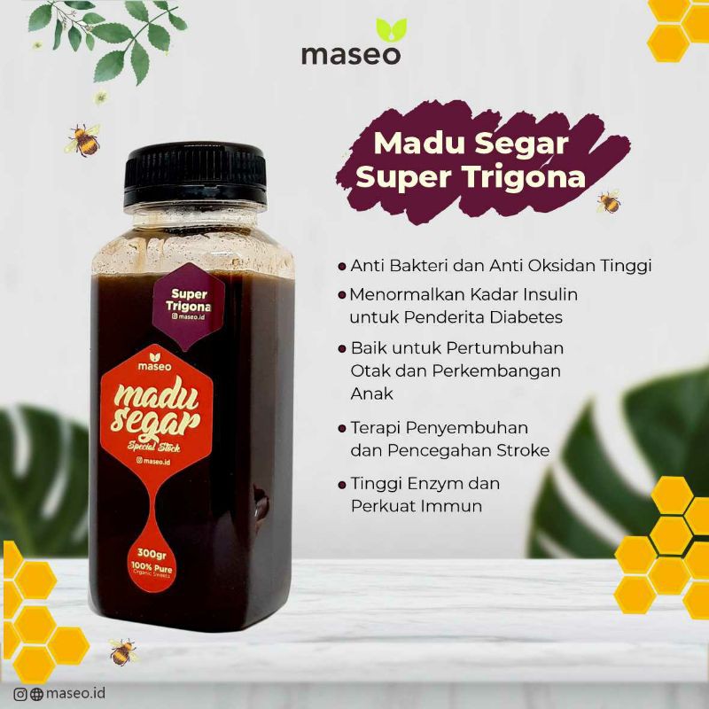 

Madu Segar Super Trigona 300 gr