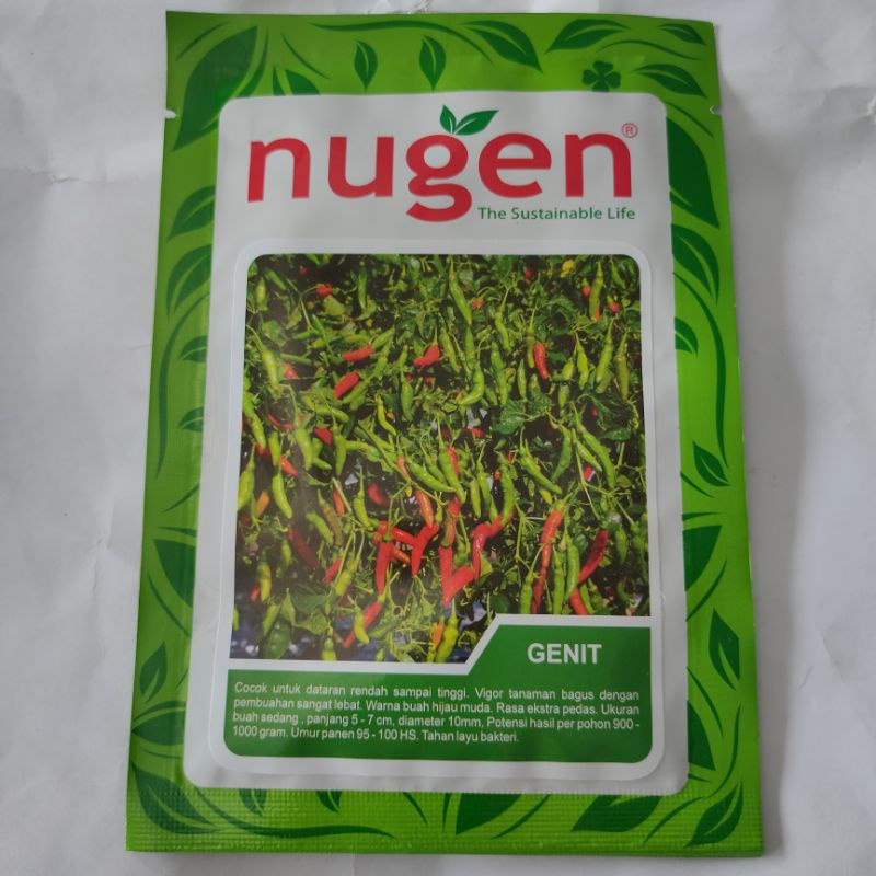 Benih Cabe Rawit Hijau Genit nugen 10 gram