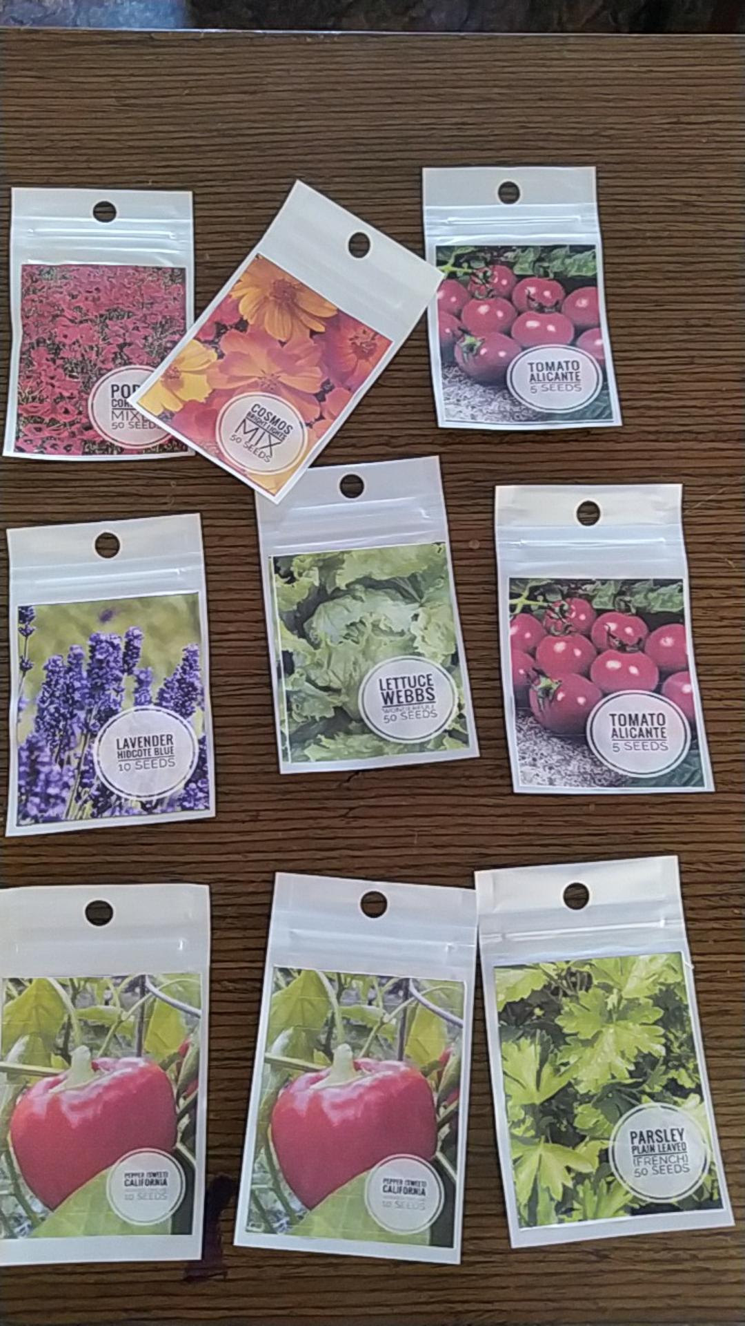 Lavender Hidcote Blue 10 Biji (benih Biji Bibit Tanaman Bunga)