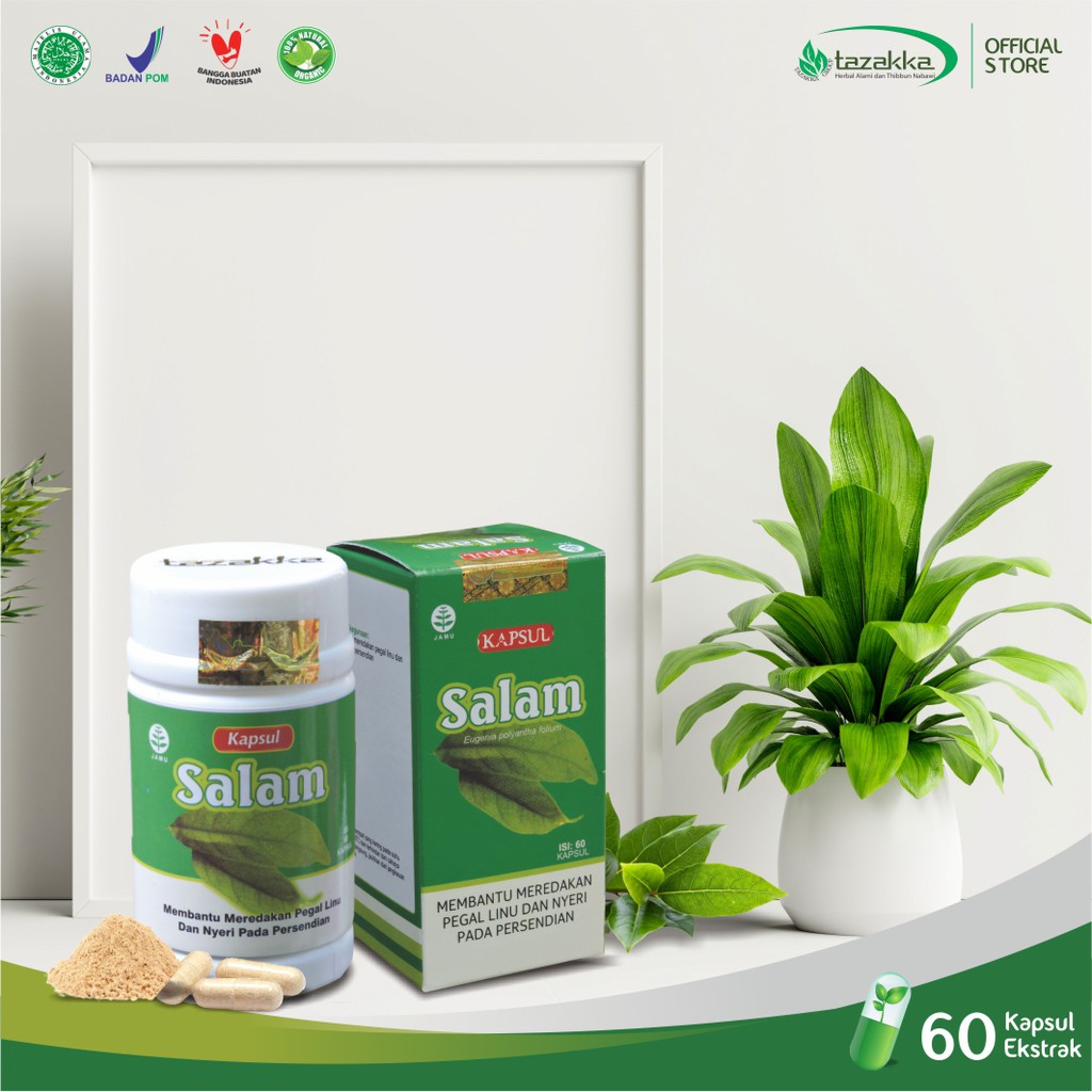 Obat Pegal Linu | Obat Nyeri Sendi | Kapsul Herbal DAUN SALAM Tazakka HALAL BPOM Original isi 60