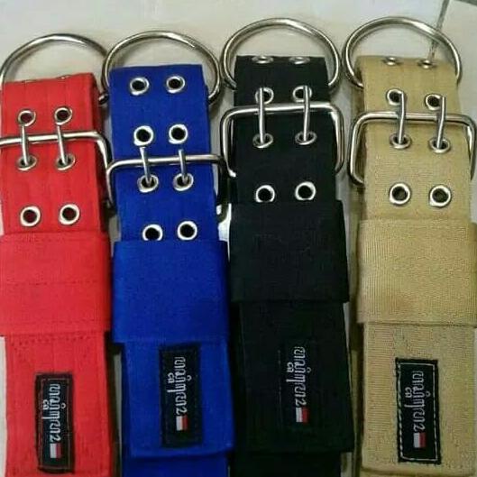 Kualitas Terbaik] Dog Collar Kalung Anjing Besar Pitbull Collar