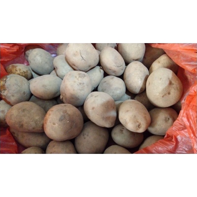 

Kentang Dieng 1kg