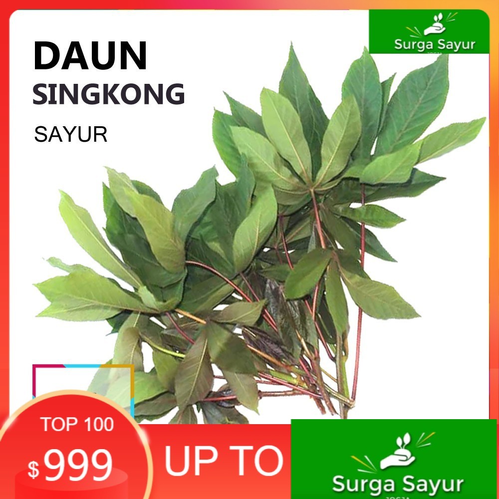 

SURGA SAYUR DAUN SINGKONG SAYUR [1 Ikat, ±200g] SEJABODETABEK BISA INSTANT MENGGUNAKAN GOSEND &GRAB.