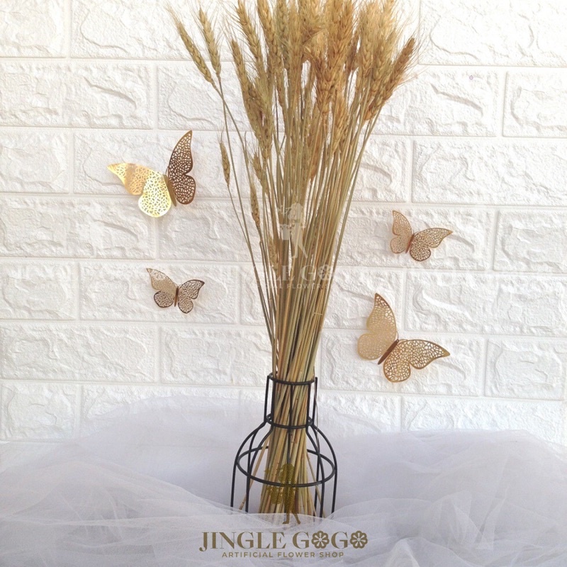 Ecer (10 btg) Bunga Kering Gandum Dried Flower Wheat Natural Triticum untuk Buket Bunga Rustic Mahar