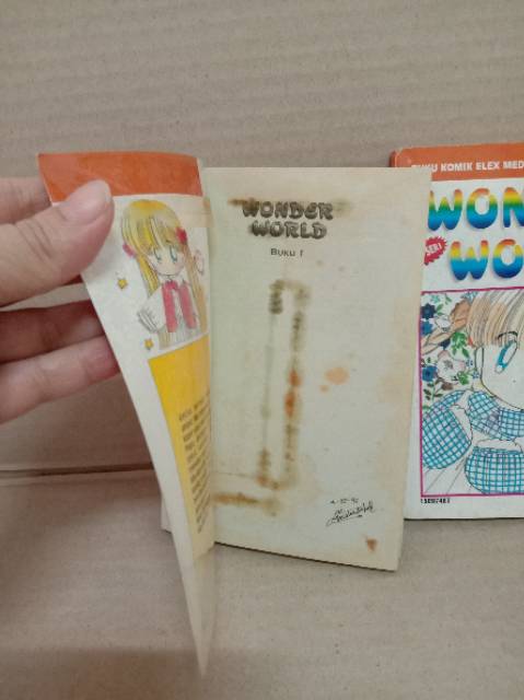 Wonder world 1-2 end